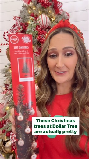 500K views · 3K reactions | ALL NEW Dollar Tree Christmas Tree HACKS! Linked in the comments! Follow The Daily DIYer for more! #dollartree #dollarstore #dollartreecrafts #dollartreehacks #dollartreediy #dollartreeobsessed #dollartreecommunity #dollartreehaul #dollartreeshopping #dollartreefinds #dollartreechristmas #christmas #christmastree #christmasdiy #diy #thedailydiyer | The Daily DIYer | Facebook