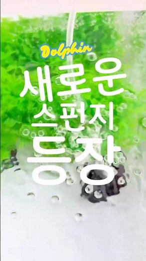 이게 일반 스펀지랑 이렇게 차이 난다고? #aquarium#스펀지여과기