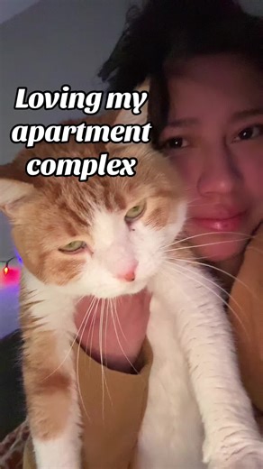 Coping with PTSD through Dark Humor: A Personal Reflection