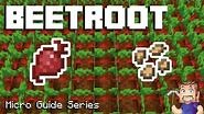Beetroot - Minecraft Micro Guide