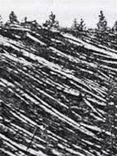 The day the sky EXPLODED over Siberia… (Tunguska Event) 💥 #fyp #interestingfacts #asteroid #comet #tunguska1908 #space In 1908, a massive explosion ripped through the sky over Siberia near the Podkamennaya Tunguska River - flattening a huge area of forest… but no impact crater was found. Most scientists think it was a space rock airburst (asteroid/comet) exploding in the atmosphere. 💥🌲 This is the Tunguska Event - one of the biggest impact-related explosions in recorded history. Would you hav