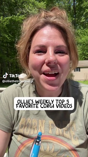 Ollie the Tripod Corgi on TikTok
