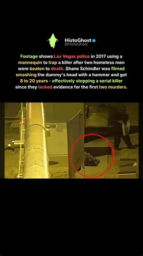 The Decoy Trap: Using a Mannequin to Catch a Serial Predator #shorts