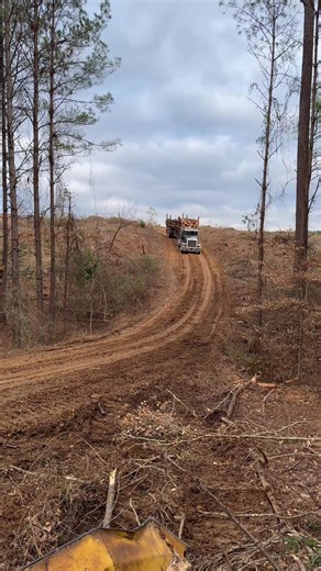 Scott Loaner Truck Missing: Fuel Filter Issues Explained