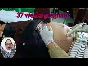 Pregnant : 37 weeks beautiful woman