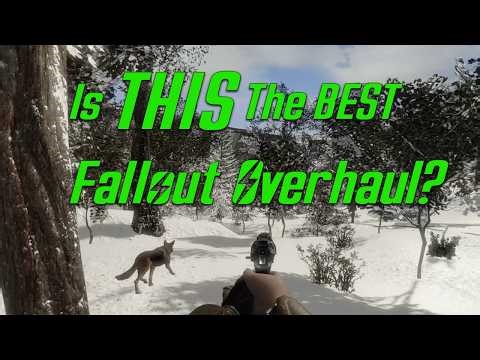 Is THIS the BEST Fallout VR Overhaul?