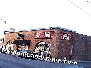 Pleje af haven: Springhaler - vigtige leddyr i jorden | 2025