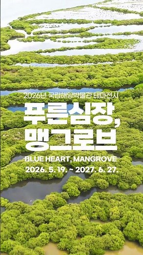 [국립해양박물관] 맹그로브 숲 속으로 떠나는 특별한 여행🌿