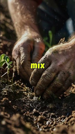 Easy Fix Lawn Patch Repair