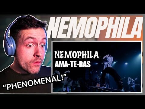 J-rock fan's REACTION to NEMOPHILA / AMA-TE-RAS [Official Live Video]