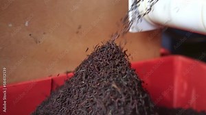 Old tea factory. Production process inside tea factory, Sri Lanka. Nuwara Eliya tourism destination landmark.