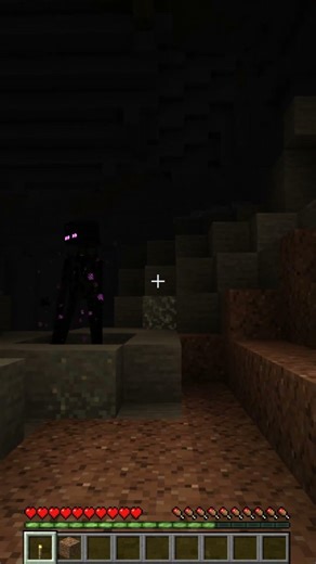 He Thought It Was a Glitch #minecraft