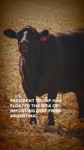 Beef ranchers on President Trump floating idea of importing Argentinian beef