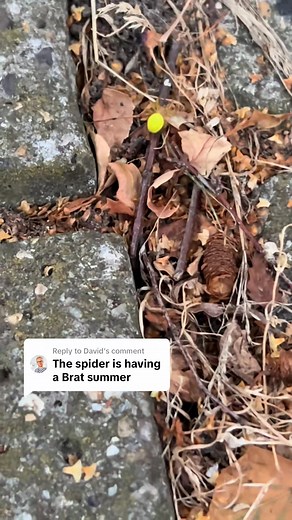 Not For Kids on Reels