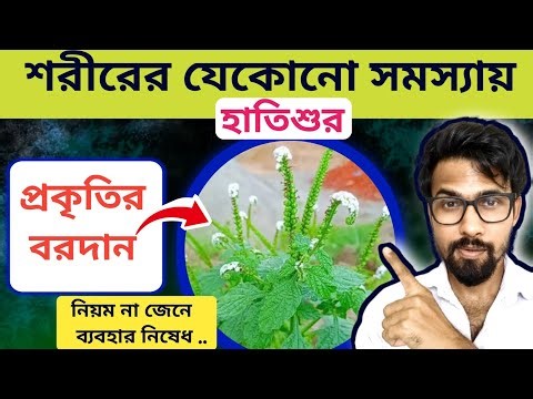 🌿Surprising benefits of elephant grass | 99% of people don't know | Indian Heliotropium Indicum b...
