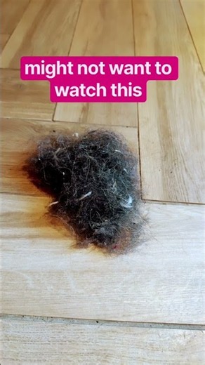 You’ve heard of dust bunnies? You might not want to watch this… ￼