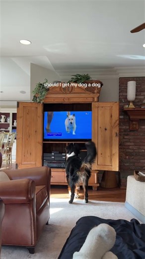 TV Friend vs Real Friend 🐶 #shorts