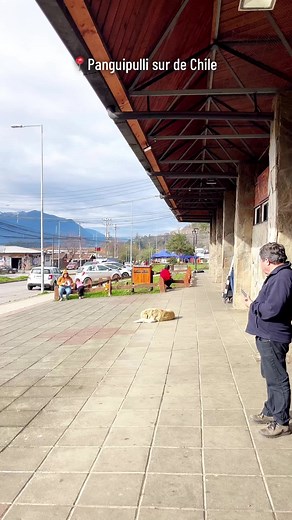 Explore Panguipulli: A Vibrant Town in Southern Chile