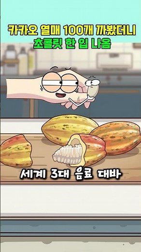 카카오 열매 100개 까봤더니 초콜릿 한 입 나옴