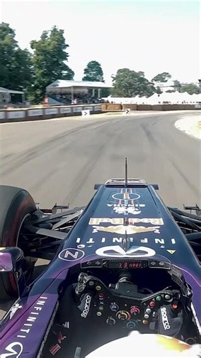 Yuki Tsunoda: at the wheel 🤩 #F1 #RedBullRacing #YukiTsunoda