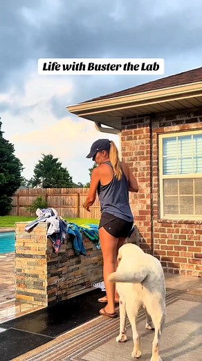 Life with Buster the Lab!! | Buster's World