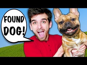 I RESCUE DOG from HACKERS in New York City! Spending 24 Hours on Surprising Travel Challenge!