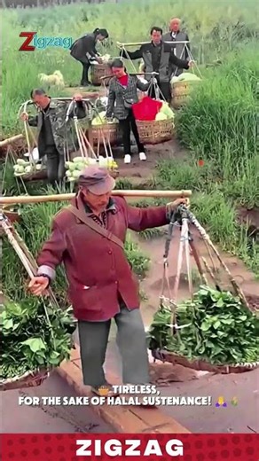 Simple & Effective Farming Tools: Shoulder Pole System for Transporting Heavy Harvests