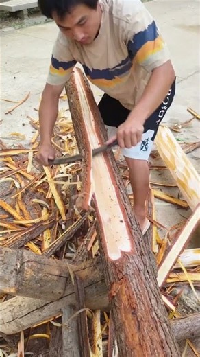 Removing Tree Bark by Hand | Amazing Woodworking Skills 🌳🪵