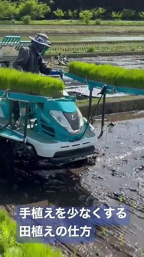 手植えを少なくする田植えの仕方