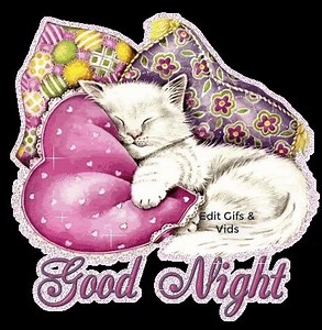 ꧁꧂ ☆┊┊┊┊Gifs & Vids Etc┊┊┊☆┊┊ * ┊┊ ┊☆ ° * · | Gifs, Vids & Music Etc