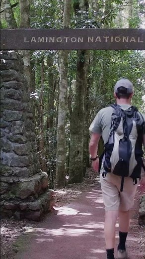You Won't Believe These Hiking Trails Are in Florida