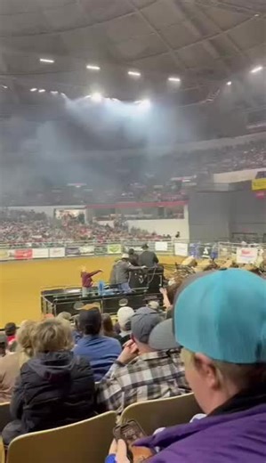 Amazing 10 Horse Pyramid at Meyer Farms