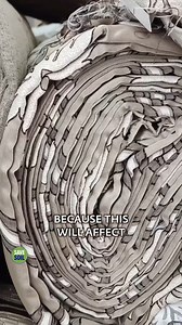 Children Should Avoid These Clothes #Sadhguru #Wisdom #Clothes #Children | Sadhguru