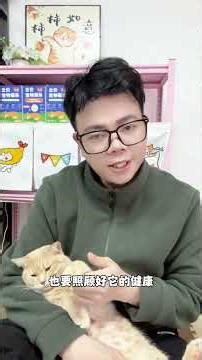 9 Levels of Cat Intimacy: Discover Your Cat's Connection Level