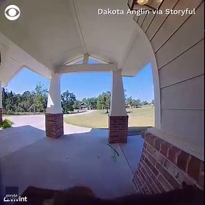 98K views · 161 reactions | ANYBODY HOME?: This mischievous squirrel was caught on camera ding dong ditching a home in Oklahoma. | CBS News | Facebook