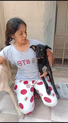 Instagram video by Porbandar Times • Aug 15, 2024 at 9:47 AM