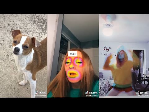 tiktoks that radiate weed energy - Fatally Stoned