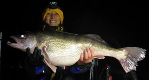 That's One Giant Walleye Swimming Around in an Iowa Lake