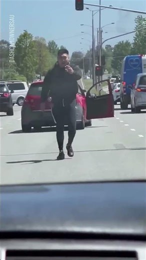 Street Rage Meets Police