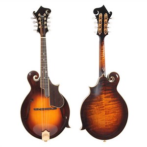 [Hot Item] Handed Made Spruce Top Professional Flamed Maple Mandolin