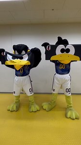 🔹#JFASTORE グッズ情報🔹サッカー日本代表公式マスコットのカラッペとカララが新商品をご紹介✨こちらはカラッペとカララそれぞれの顔が描かれたフェイスタオル！試合会場、JFA STOREで販売中※売切の場合がございます。🔗 https://t.co/LAsN6J8nDa🔗 https://t.co/mxZlyRz8SI#夢への勇気を #SAMURAIBLUE #jfa #daihyo #サッカー日本代表