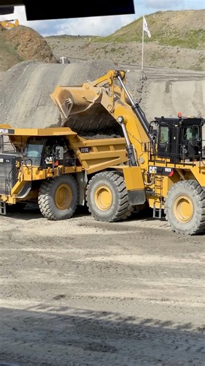 4.4K views · 48 reactions | Here's our friend Siggy again.This time...