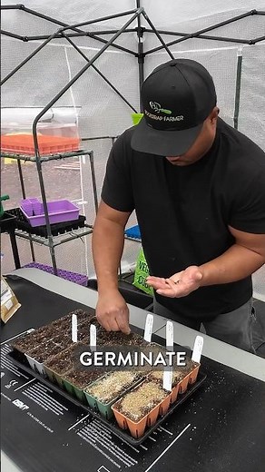 Here’s how I start growing collard greens from seed. #gardening