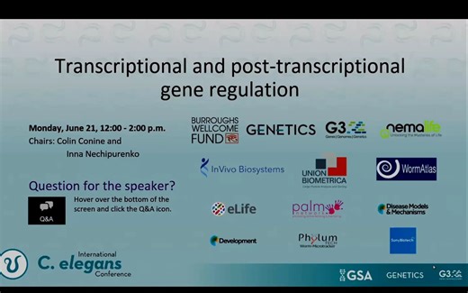 线虫的细胞外基质蛋白SDN-1/syndecan调节N型乙酰胆碱受体聚集稳定和突触传递功能