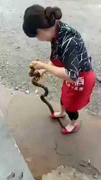How Chinese Chefs Prepare and Cook snake stew