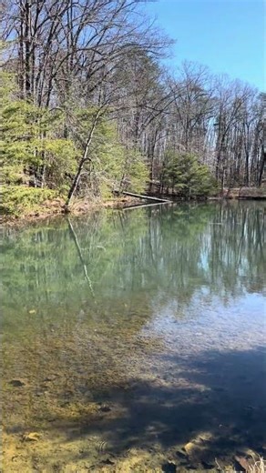 Spring Fed Stocked Private Lake on Small, Medium & Large Acreages Near Lake Cumberland KY!