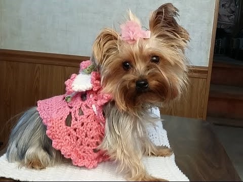 Crochet "Glama's Adorable Princess Puppy Dress"