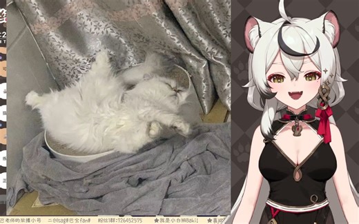 【巴绮Baki】欣赏狂小巴的妖娆睡姿