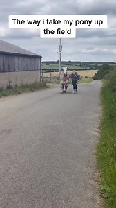 Pony mad #ponies #horse #farm #skip | Rebuild the Impossible
