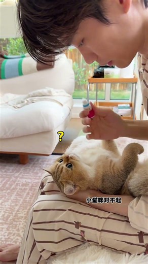 【牛奶是只猫】咪：我这嘴不能要了…… 人：听我解释…我不是故意的